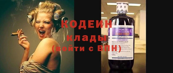 дмт Богородск
