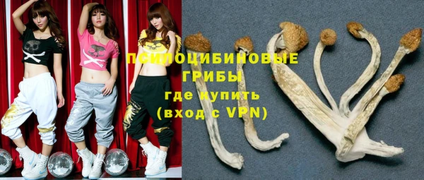 дмт Богородск