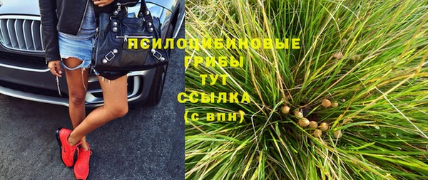 дмт Богородск