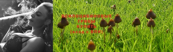 эйфоретик Богородицк